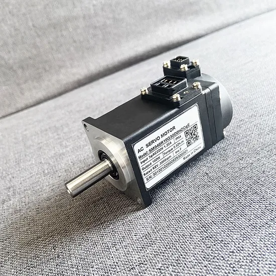 220V 100W AC Servo Electrical Motor for Electric Vehicle 