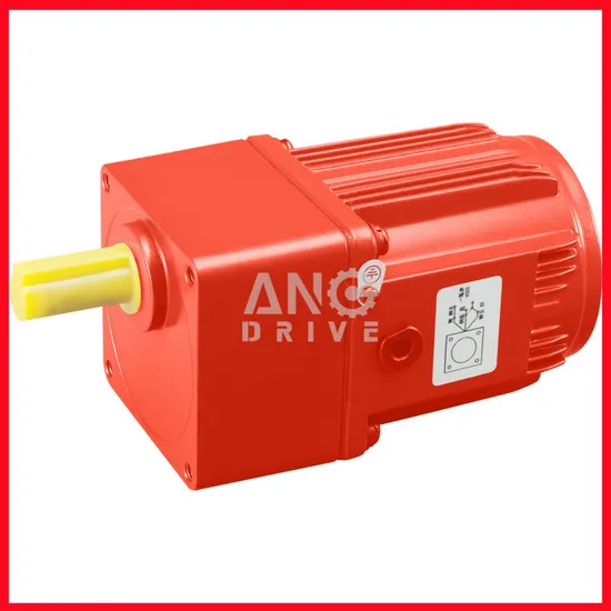 110V 220V 230V AC Induction Electric Micro Gear Motor for Mask Packaging Machine 