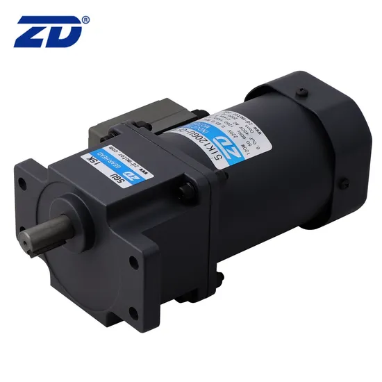 ZD UL, CE, ISO9001, CCC, RoHS Approved Winding Type Electric Induction AC Gear Motor 