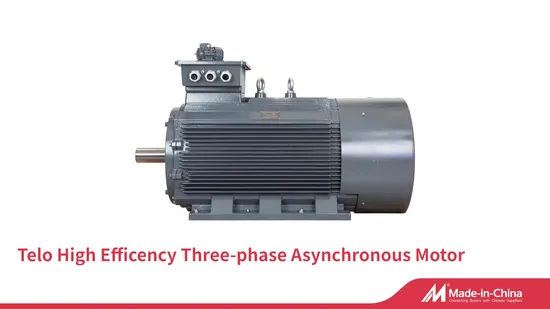 Telo Ie2 380V/660V 50Hz Cast Iron Three Phase Asynchronous Induction Electric Motors 