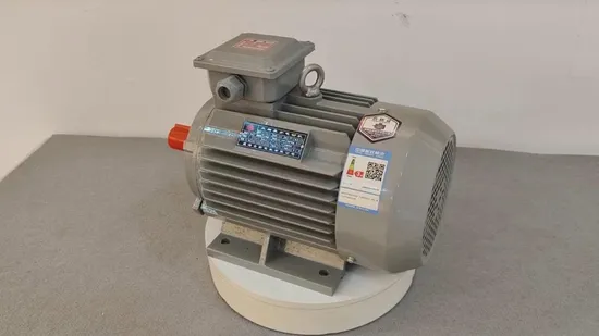 3.0kw Three Phase Induction Motor 380V Copper Winding Low Noise Design 