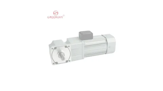 AC Right Angle Gear Motor 40W 60W Compact Worm Gear Reducer for Automation & Mask Machine 