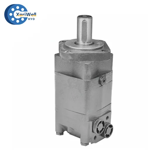 750 Rpm BMS100 Oms100 BMS Oms 100 Orbital Hydraulic Motor for Chainsaw 